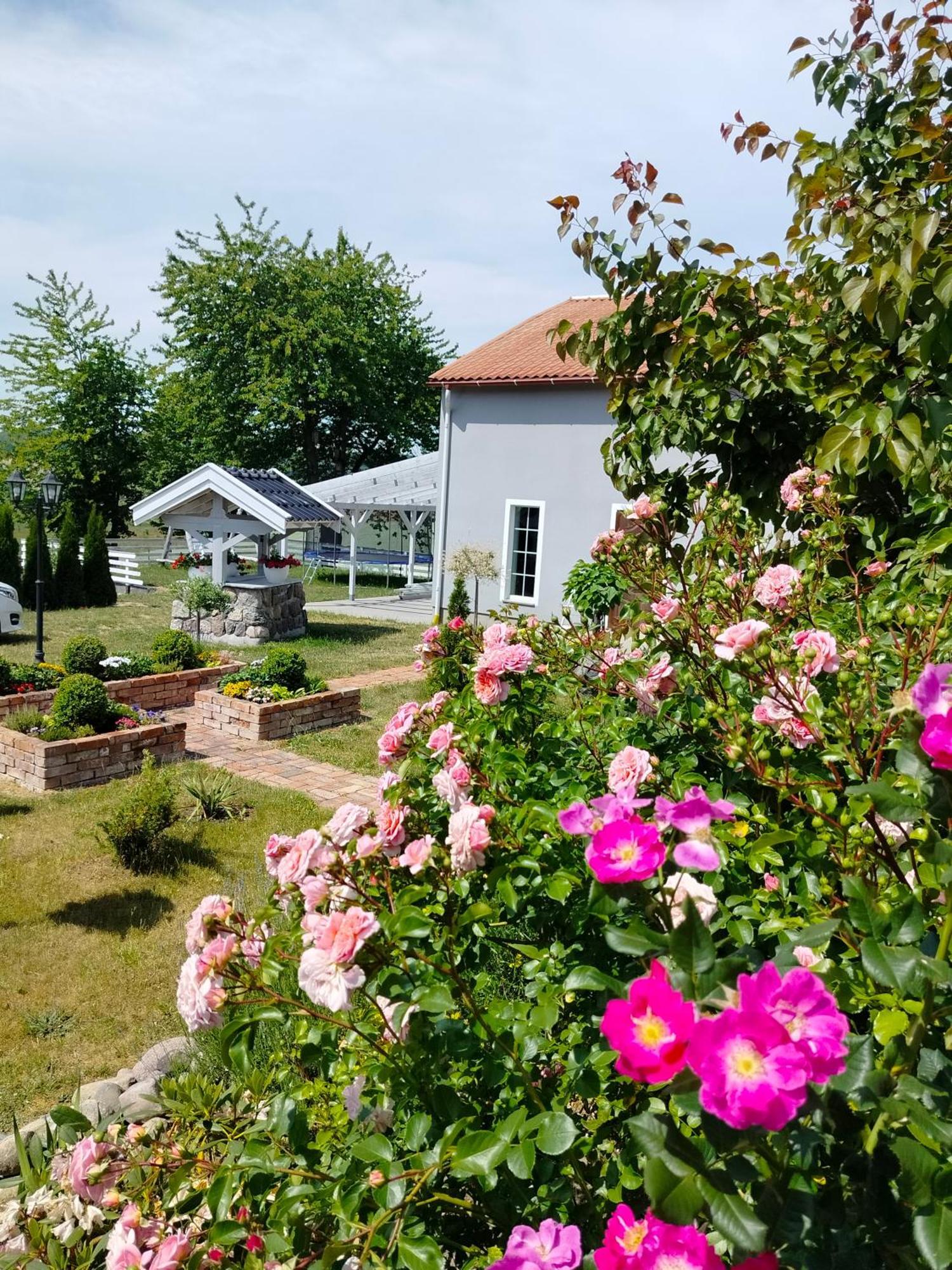 Agroturystyka Rybno Rybno  ภายนอก รูปภาพ